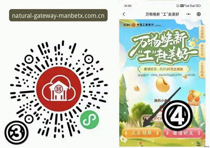 Manbetx全站在线登录中国官方主页入口的5个避坑原则与操作指南